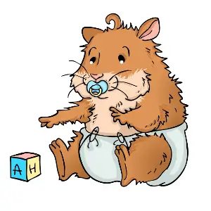 The hamster life cycle: Stages from birth to old age