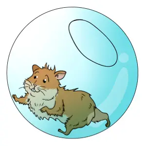 Hamster ball