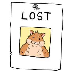How to find a lost hamster