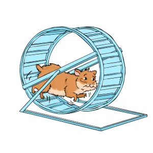 Hamster running in a wheel