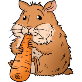 Can hamsters eat carrots?