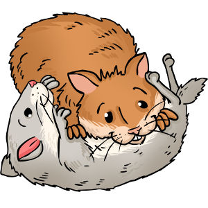 Why do hamsters fight each other?