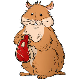 Can hamsters eat meat?