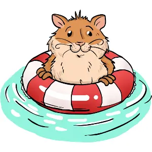 Can hamsters swim?